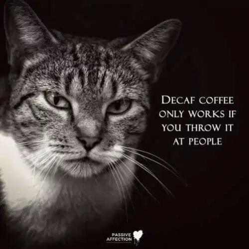 5EAE9D1F-BE40-4D4C-99A8-66F5E429D7F0