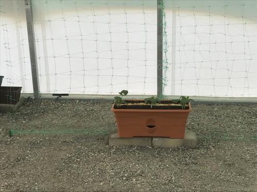 05F5EB19-F7E1-4080-A7F4-4B321BB87703