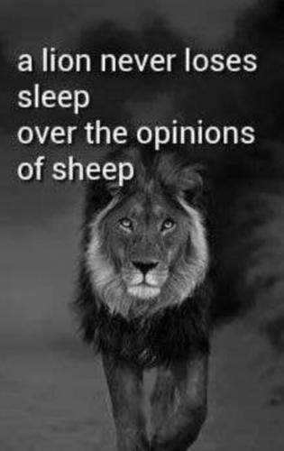 0B8C3F0D-C9B2-4FC9-8206-C14888729182