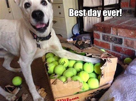 9CCA597C-835E-4D75-8F59-4380A3301617