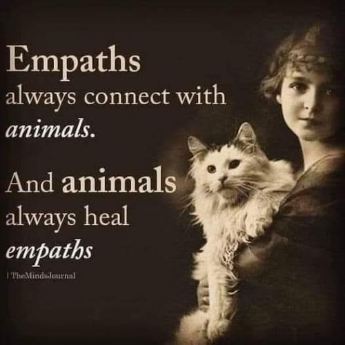 E93F98E3-E493-4194-9B27-A79291C6DBDE