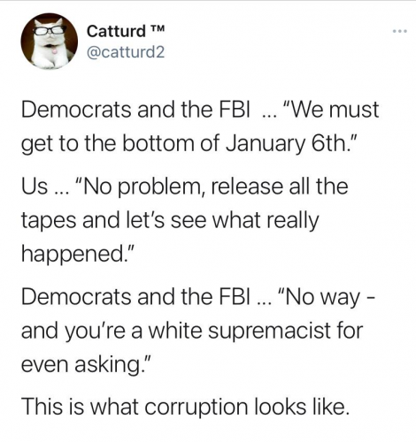 catturd 219783481280305783057845