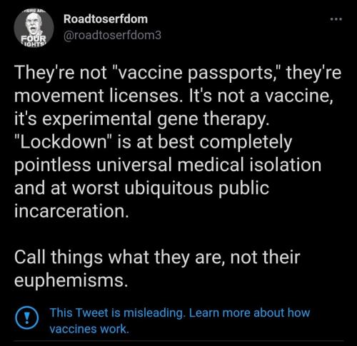 VACCINE PASSPORTS