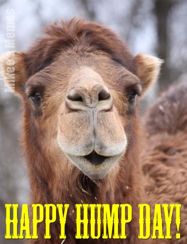 Camel Hump Day2