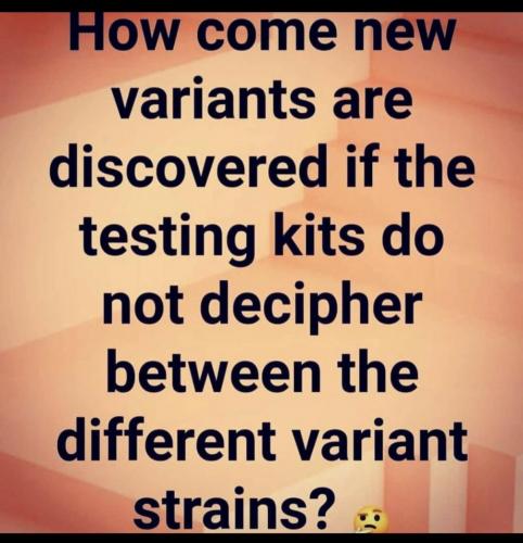 D69C7119-1622-4BCB-B726-11BD74B24430