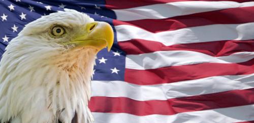 eagle flag