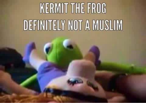 50bef59c5d741afdbaad7c5c0db5bac8