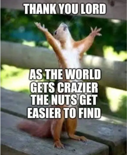 Screenshot_20210724-215720-858