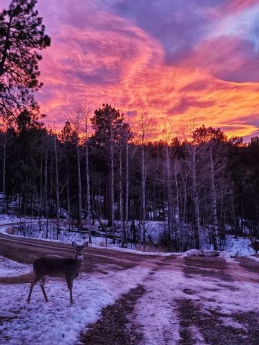 FB_IMG_1607727500887