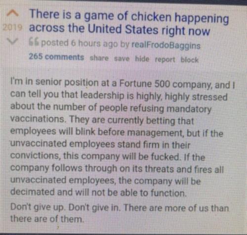 THE GAME OF CHICKEN