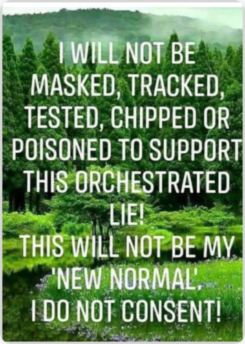 I WILL NOT BE