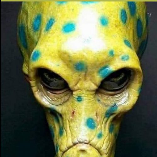 Screenshot_20210822-084427-256