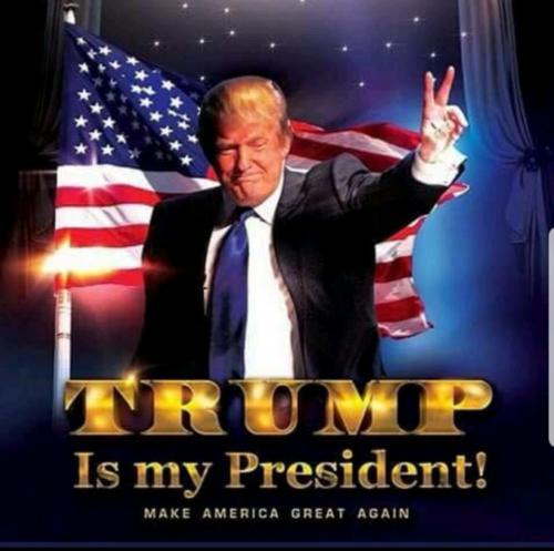 image_1630115179.384