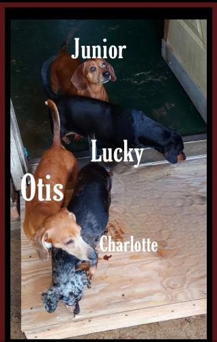 Screenshot_20210826-153017_Gallery