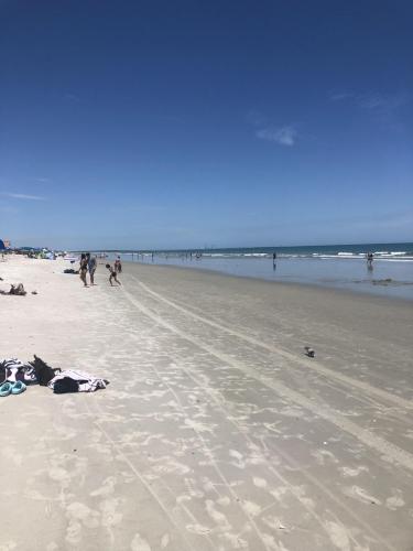 A6E1F63D-0C8F-434C-881C-7A4CAF08D2E8