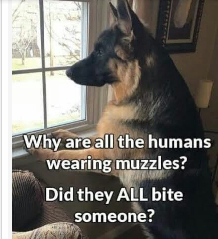 1628212584185_IMG_20210805_210521
