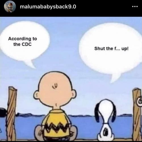 image_1629739731.276