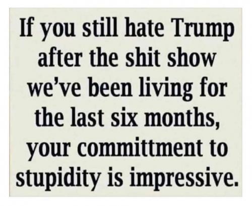 811E53BF-8989-4FB3-ABA8-04E13DEEDB04