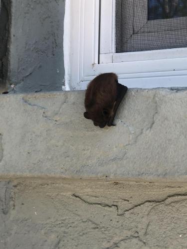 50D076CD-3B95-446F-9811-EA8024FAD1B7