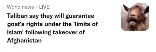 914B4EA9-EB8F-400E-9E92-DBED0D21358E