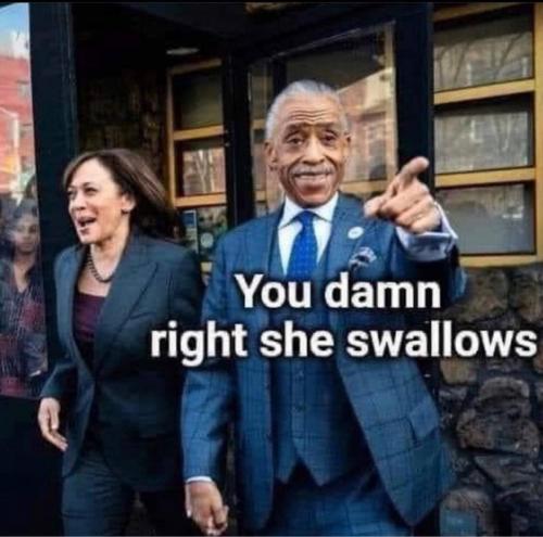 95B736EC-9F98-43A1-9E50-1642D2BD3CA4