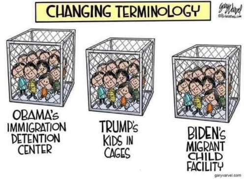 terminology