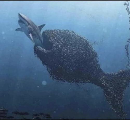 D2A9EDF1-C288-4B38-9A1D-A80495CBBF95