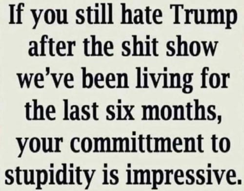 IF YOU STILL HATE TRUMP