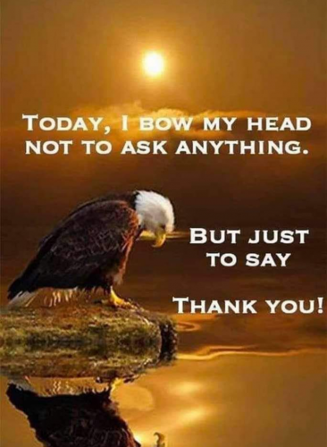 Screenshot_20210823-132845-927