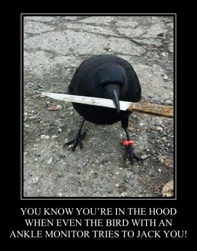 4FCB5FA6-0031-4340-AAB3-AA6819707A84