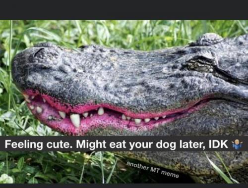 AB7C5A5B-37F1-410E-8B2F-57060754205D