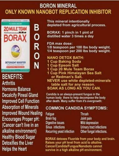 #BoronMineral is intentionally depleted in industrial #BigAgriculture