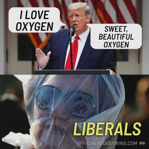 FB_IMG_1629744035338