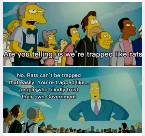 trapped