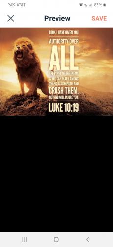 Screenshot_20210815-090921_CloutHub