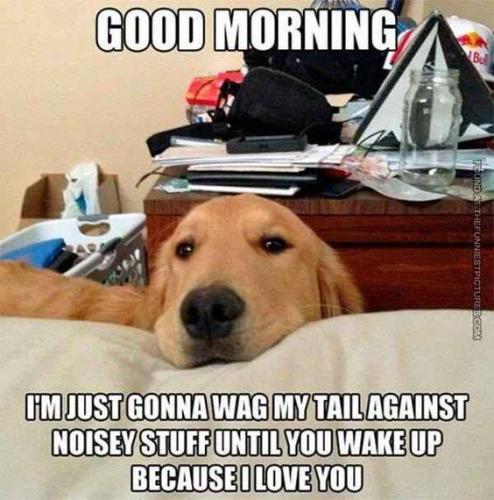 alarm 1