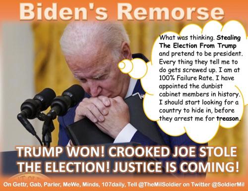 Bidens Remorse