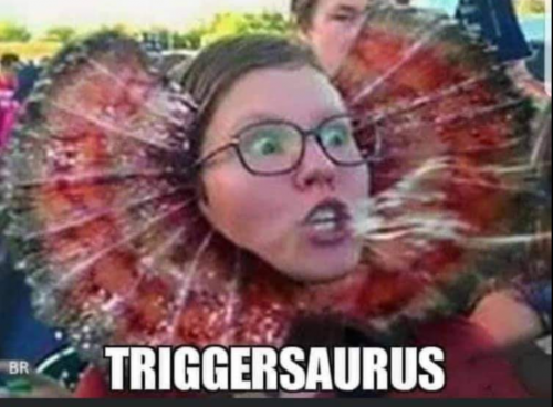 Screenshot_20210822-084137-365