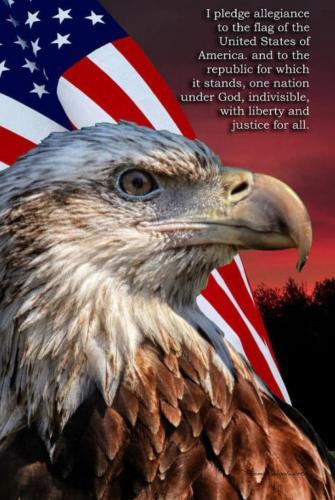 PledgeOfAllegiance1