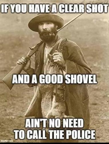 63420701-AFFA-4378-83D0-8C7AF0364CED