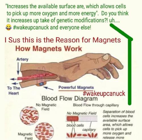 Magnets
