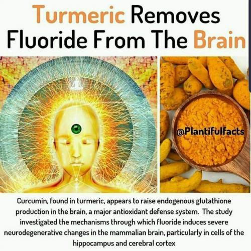 #Turmeric