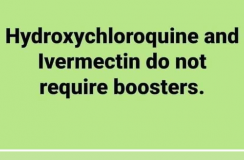 Screenshot_20210822-084032-603