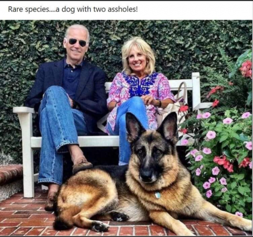 Screenshot_20210820-193957-502