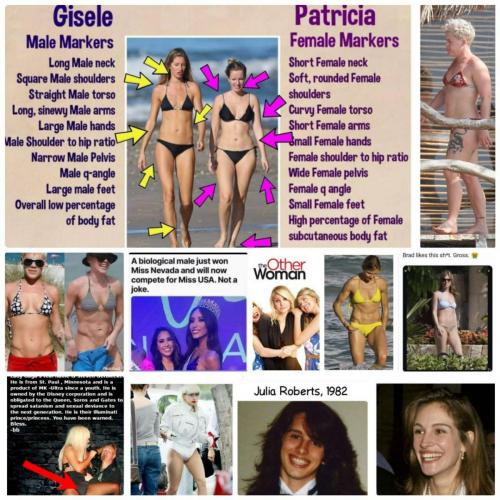 -5848332658180994647_121