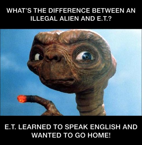 2502463C-81B8-462D-ACB0-7489E172D2B3