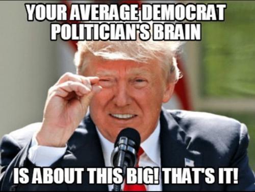 PoliticiansBrain1
