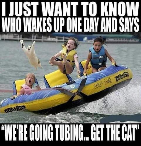 IMG_20210825_194838_434