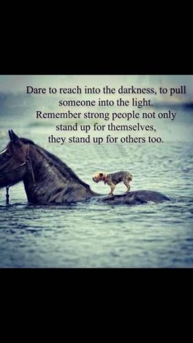 A08C5645-65A4-425A-BCBF-10B7A00E211C