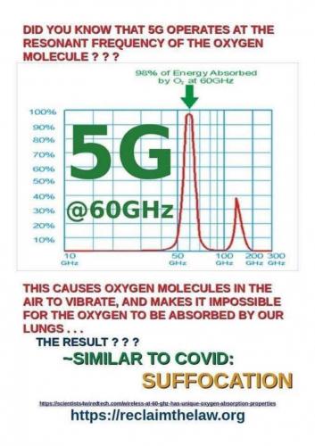 #5G